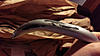 Never installed Mazdaspeed Sway Bar-34565867311_058aaa9c93_k.jpg