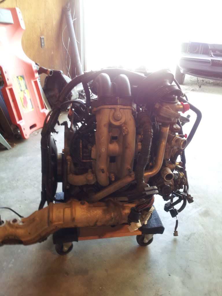 Name:  20120325_141745.jpg
Views: 42
Size:  82.3 KB