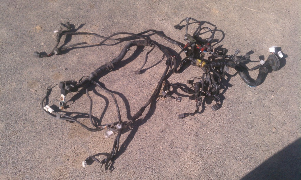 Name: IMAG0406.jpg
Views: 43
Size: 216.7 KB