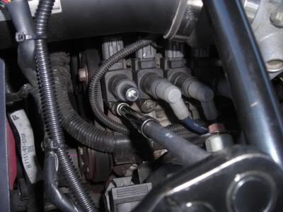 Name: rx8coils.jpg
Views: 56
Size: 21.3 KB