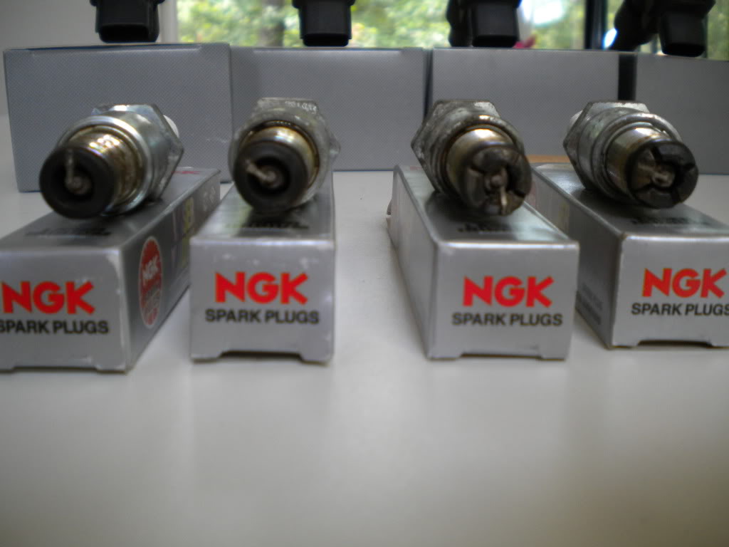 Name: DSCN1450.jpg
Views: 42
Size: 100.1 KB