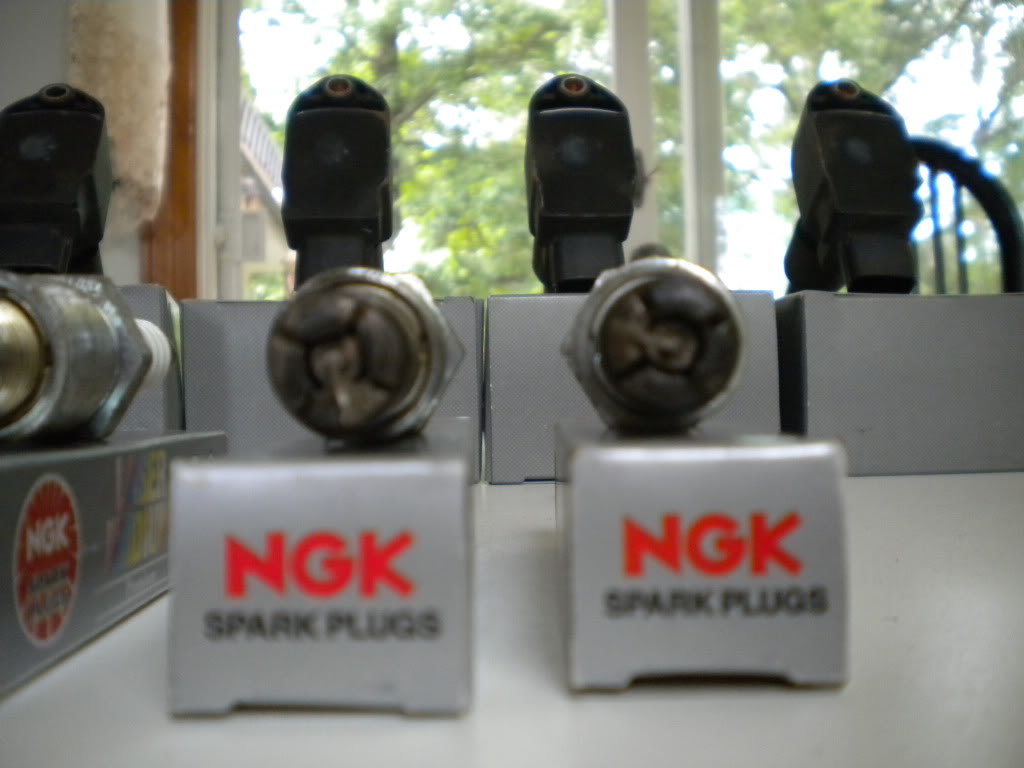 Name: DSCN1449.jpg
Views: 40
Size: 115.7 KB