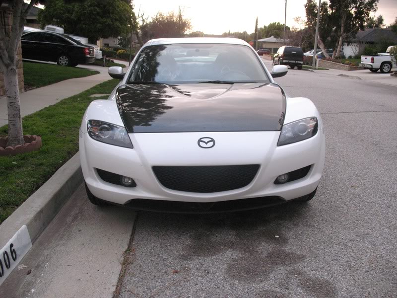 Name:  3820101.jpg
Views: 55
Size:  111.9 KB