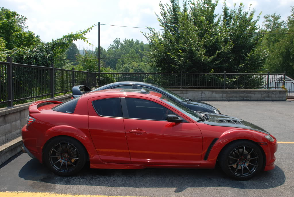 Name:  DSC_0201.jpg
Views: 59
Size:  199.4 KB