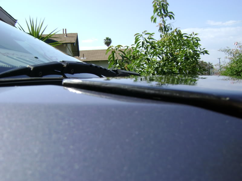 Name: DSC008292.jpg
Views: 45
Size: 82.5 KB