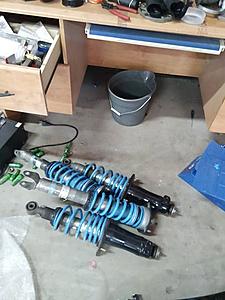 Bilstein PSS9 Coilovers-coils.jpg