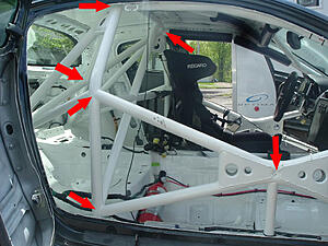 Half Cage?-berg-cage-1.jpg