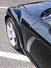 Ever notice there are no "sun" pictures on the Zaino site?-zaino3.jpg