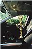 Car Show winner-rx8-6.jpg