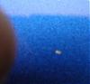 tons of paint chips and 2 deep scratch repair attempt-untitled-4.jpg