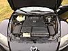 2006 Shinka-img_2723.jpg