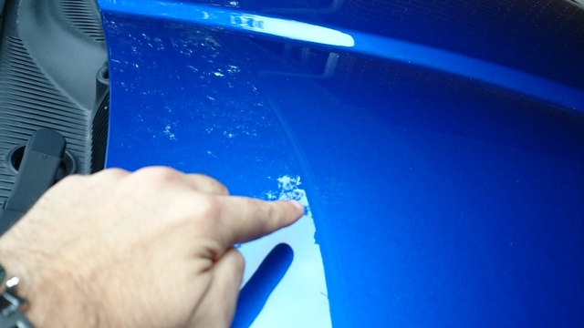 Name:  DSC_0889.jpg
Views: 12286
Size:  91.3 KB