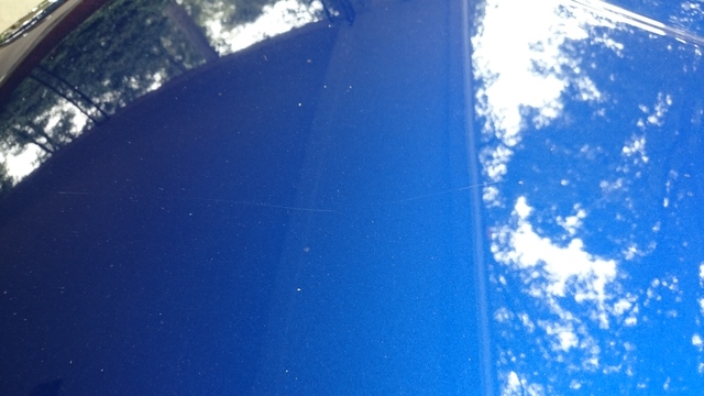 Name:  DSC_0890.jpg
Views: 12301
Size:  118.1 KB