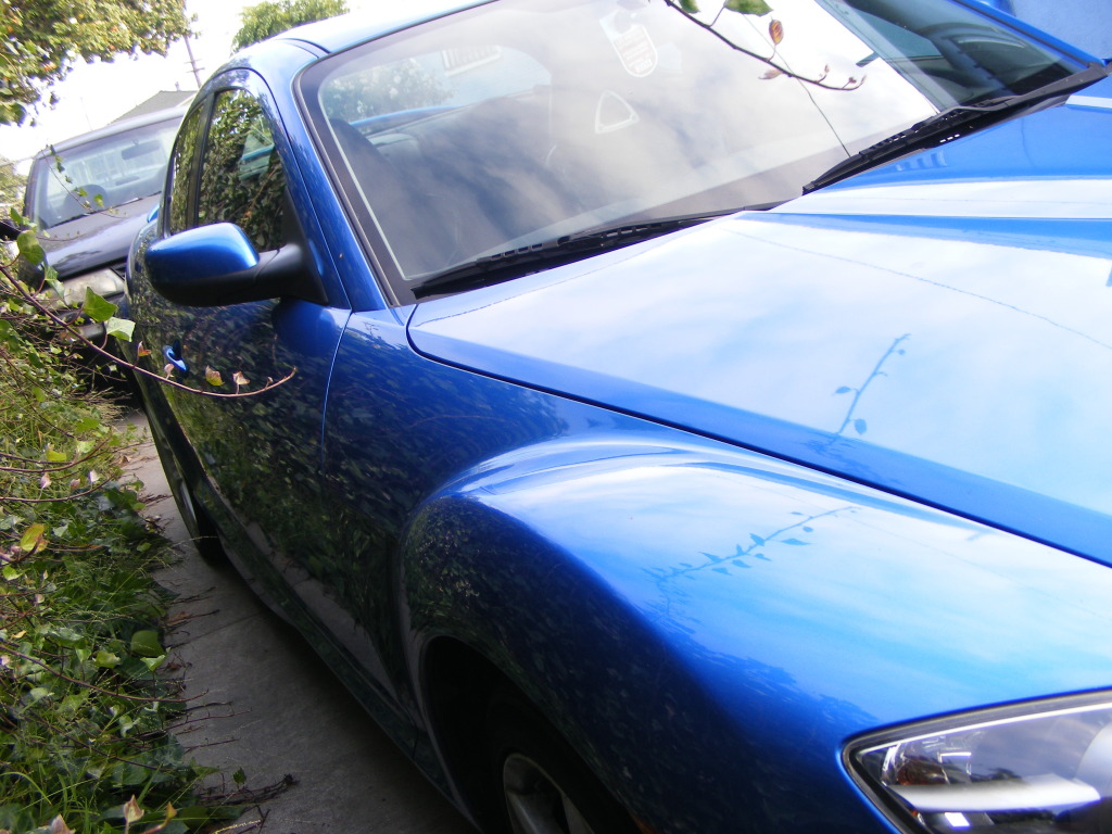 Name:  DSCF2392.jpg
Views: 33
Size:  228.4 KB