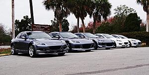 Tampa Bay-dsc00130.jpg