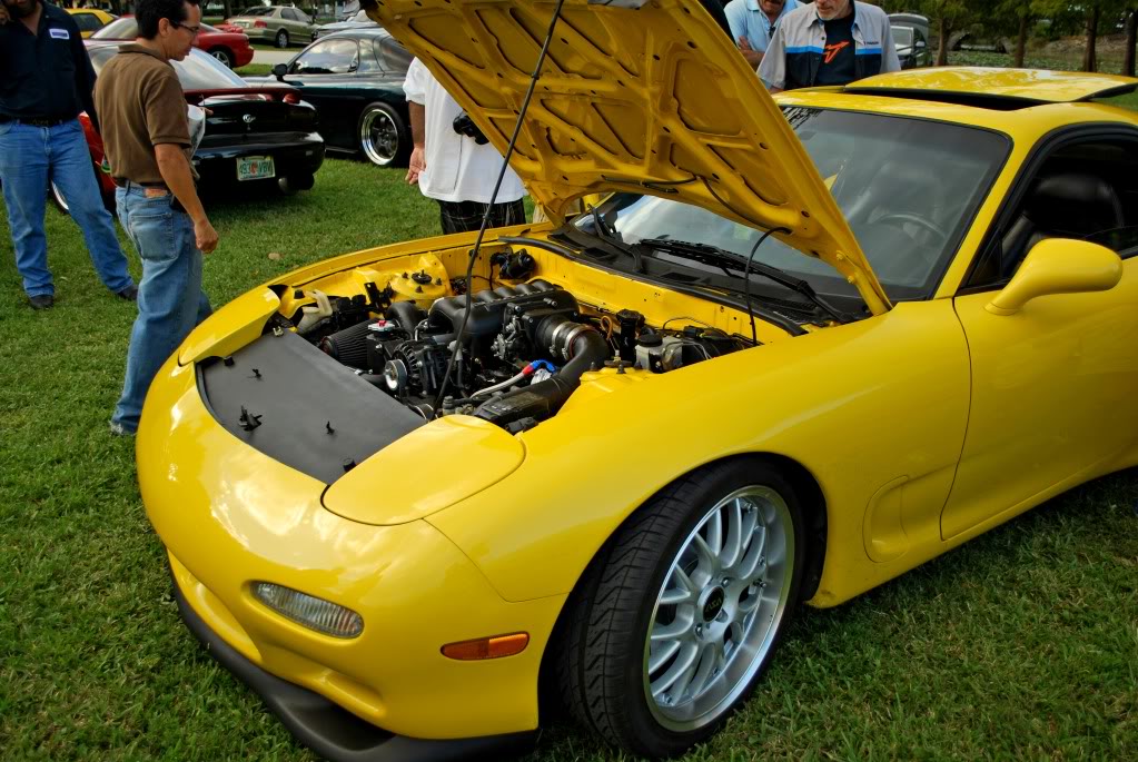 Name:  xpettit3.jpg
Views: 31
Size:  161.1 KB