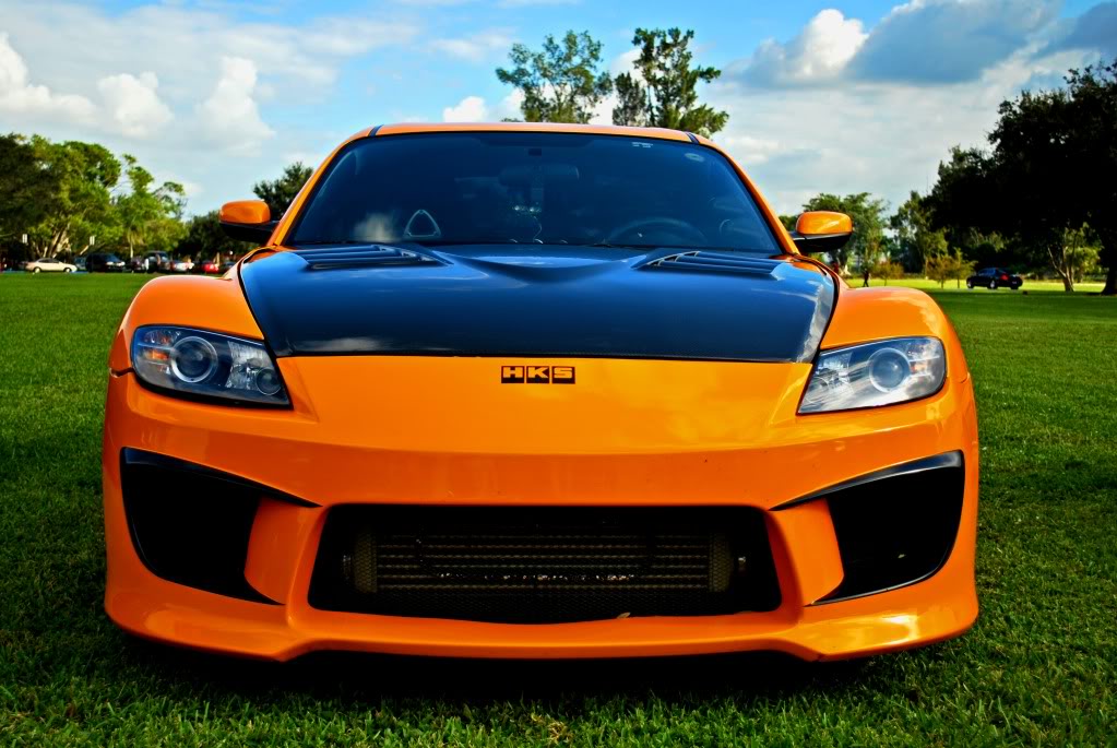 Name:  xorange8.jpg
Views: 33
Size:  131.3 KB
