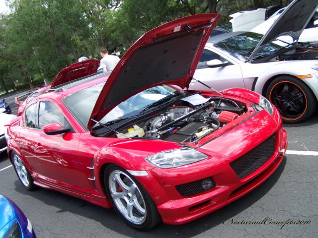 Name:  101_0177.jpg
Views: 25
Size:  72.9 KB