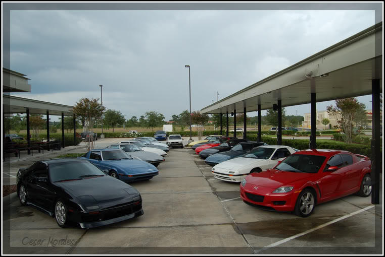 Name:  DSC_0107r.jpg
Views: 18
Size:  74.3 KB