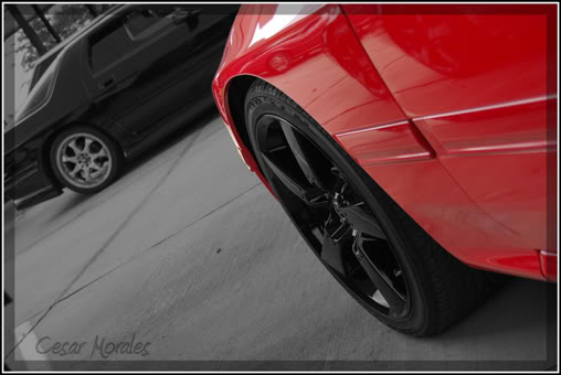 Name:  DSC_0042r.jpg
Views: 20
Size:  31.8 KB