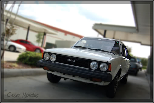 Name:  DSC_0015r.jpg
Views: 18
Size:  30.0 KB