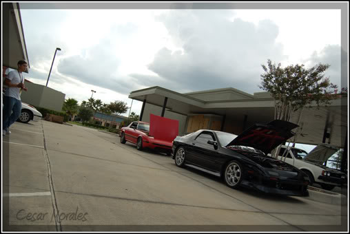 Name:  DSC_0038r.jpg
Views: 20
Size:  36.1 KB