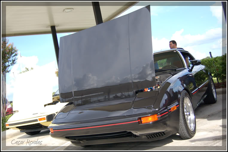 Name:  DSC_0022r.jpg
Views: 19
Size:  71.0 KB