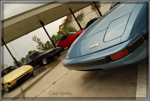 Name:  DSC_0079r.jpg
Views: 20
Size:  40.5 KB