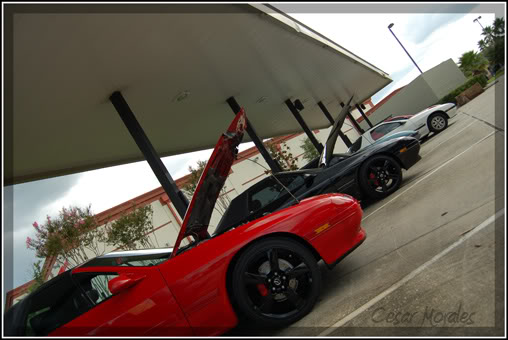 Name:  DSC_0040r.jpg
Views: 22
Size:  41.0 KB