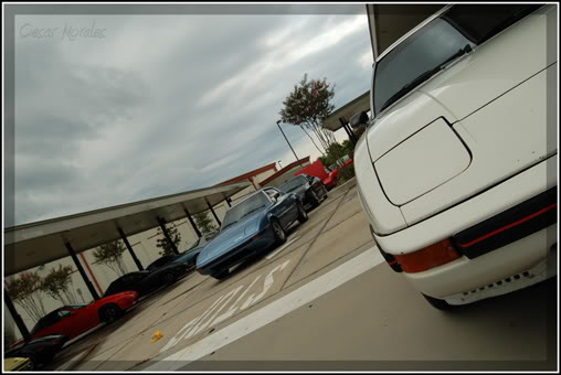 Name:  DSC_0077r.jpg
Views: 20
Size:  37.3 KB