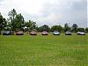 eclps0's 2nd meet at markham park weston. AUG 21st  rx8s and other rotary cars!!!!-markham-park-082105-2.jpg