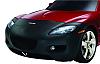 NASA March 18/19 Road Atlanta-06_rx-8_frntmask.jpg