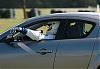 Carolina Motorsports Park, June 2-4-dsc_1924.jpg