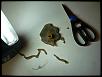 Possible issues from well known vendor's fuel pump upgrade. Mazsport-1.jpg