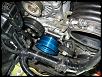A.P. Pulley and CEL-img_0125.jpg