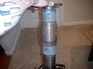 Dave Sport Cat-davesportweld.jpg