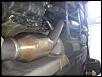 catalytic converters, cats, cats, cats-img_20111010_161153.jpg
