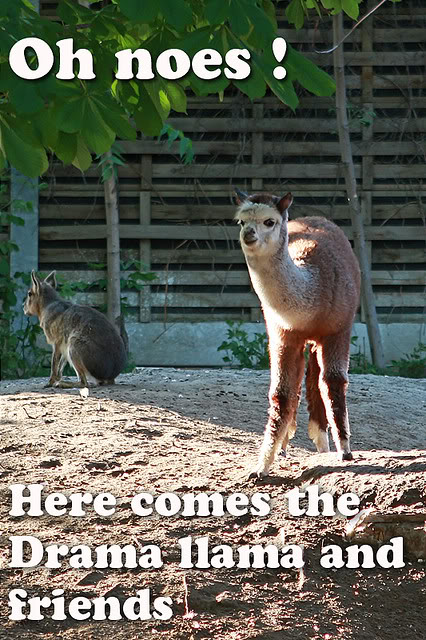 Name: 3695084400_2f2caf3a93_z.jpg
Views: 225
Size: 110.0 KB