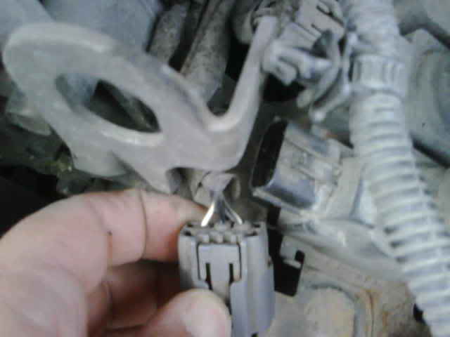 Name: ImportedPhotos00003.jpg
Views: 2709
Size: 15.7 KB
