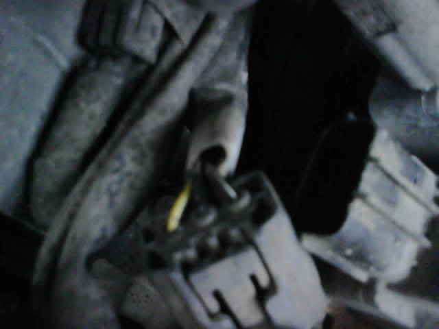 Name: ImportedPhotos00004.jpg
Views: 2745
Size: 13.5 KB