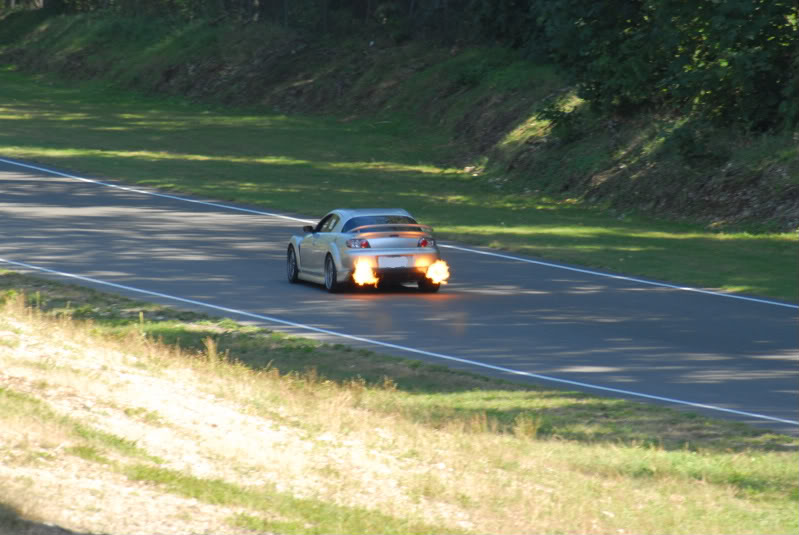 Name:  DSC_0107-1.jpg
Views: 59
Size:  73.7 KB