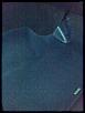 DIY: Replace Your (Heavyweight) Car Mats-image113.jpg
