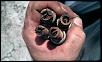 DIY: Spark Plug change.......-imag0153.jpg