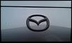 DIY: Black out emblems without taking them off-100media%24imag0115.jpg