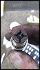 DIY: Gutting out your Catalytic Converter-imag0269.jpg