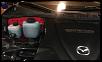 DIY: Reservoir for Richard Sohn Adapter-red-install-2a.jpg