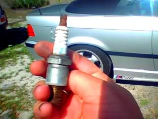 Name:  spares8.jpg
Views: 265
Size:  14.2 KB