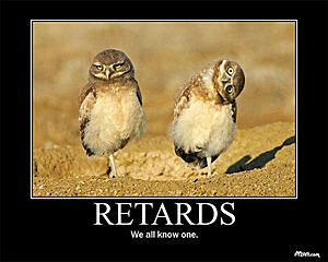 COBB acessport SUCKS-retard-owls.jpg