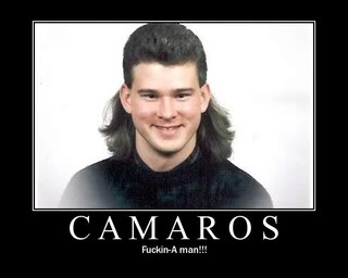 Name:  mullet.jpg
Views: 176
Size:  11.4 KB