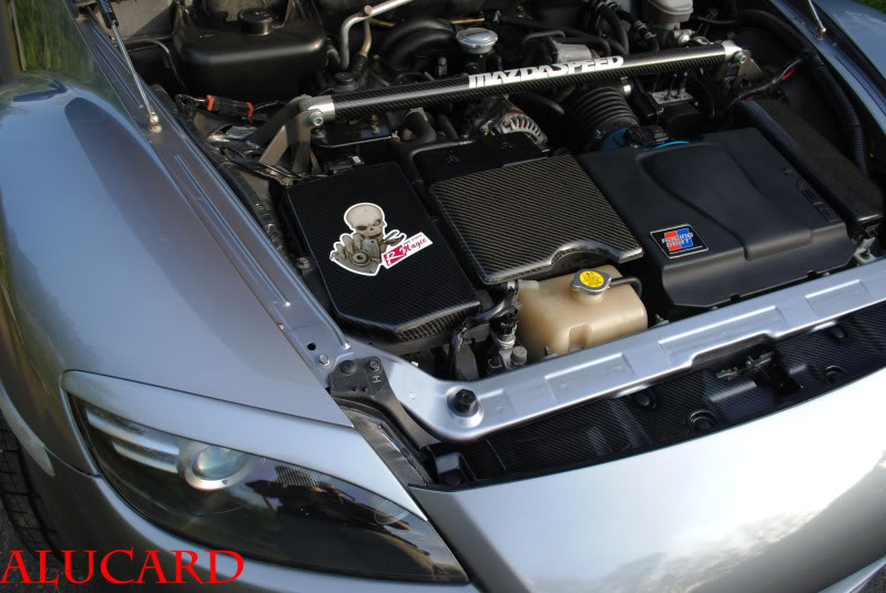 Name:  DSC_0241-editcopy.jpg
Views: 42
Size:  85.8 KB
